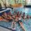 Schwimmwoche in Raabs/Thaya – 1ab